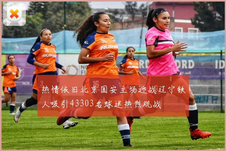 热情依旧北京国安主场迎战辽宁铁人吸引43303名球迷热烈观战